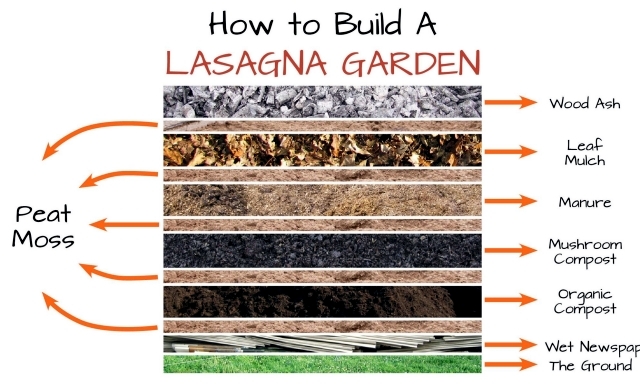 lasagna gardening