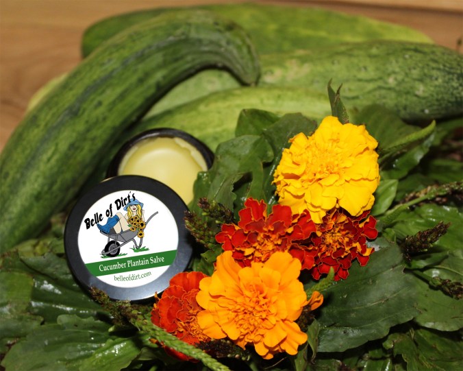 EtsyPlantainCucumber